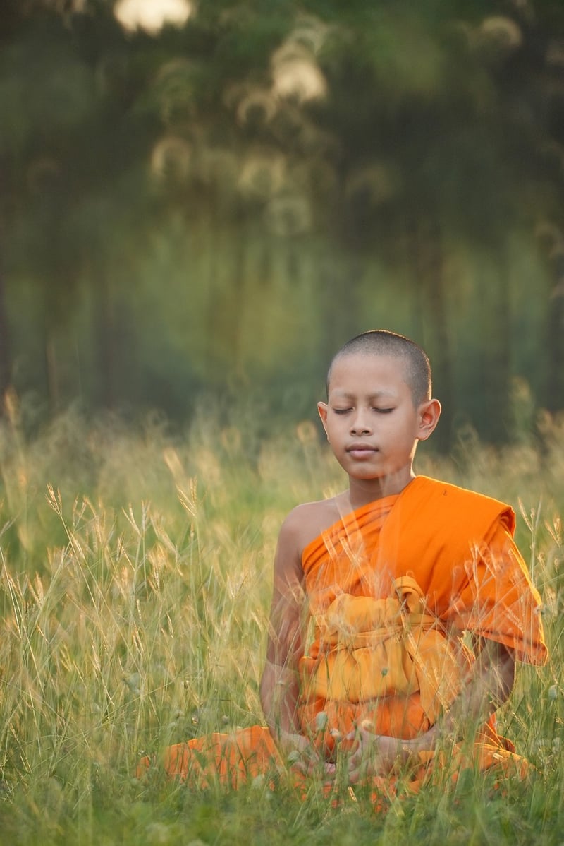 Meditation Cushion